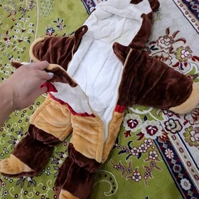babek kambinizon