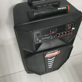Prokat kalonka karaoke