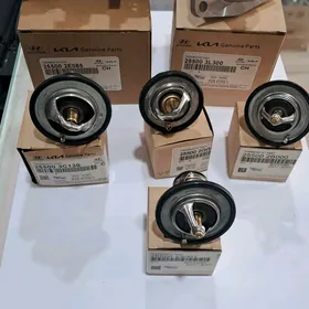 Termostat Hyundai Kia