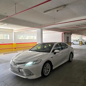 Toyota Camry 2019