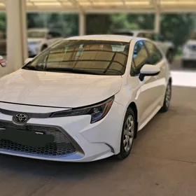 Toyota Corolla 2020