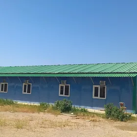 Kamp