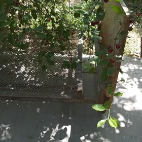 кравать  krawat
