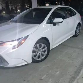 Toyota Corolla 2019