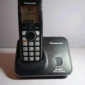 Panasonic Telefon