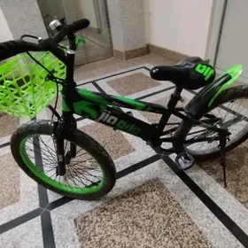 ćaga tigir