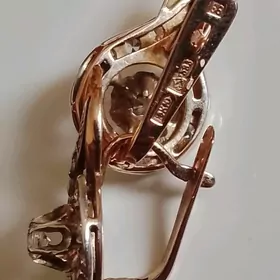 skripka gulakhalka