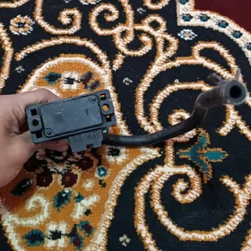 Tusse daççik