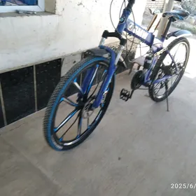 bmw tigir
