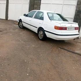 14 karona disga