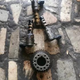 3lik 3.3 wanus dacik