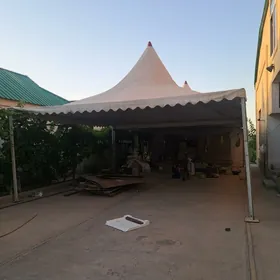 palata