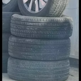 diska pakryska r 17