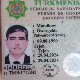 şafyor sürüjü