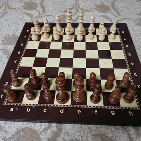 Küşt şahmat