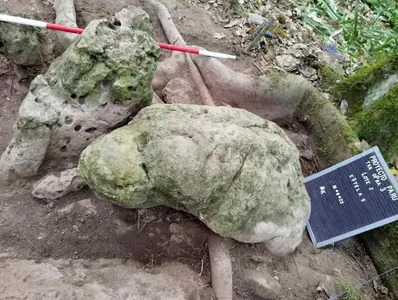 Gwatemalada ýaşy tas 3 müň ýyl bolan gadymy maýýa şäheriniň harabalygy tapyldy