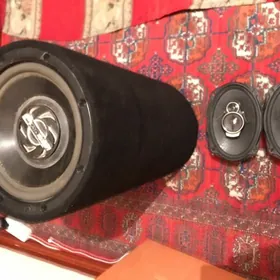 pioneer