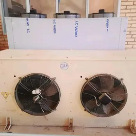 kanisaner sowadyjy