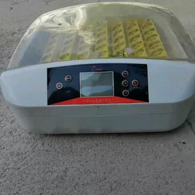 enkubator 56 yumurtgalik