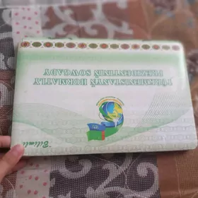 bilimli kampyuter