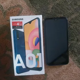 a01