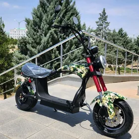 TIGIR BASEYKA SAMAKAT MATOR
