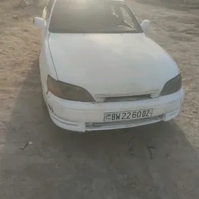 Toyota Windom 1993