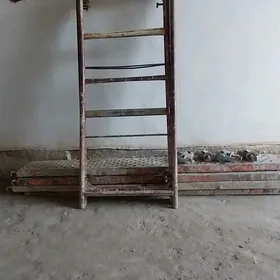 Lesa prakad