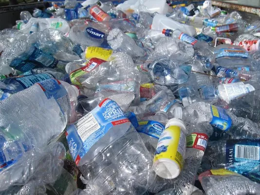 Plastik topraga, howa we jandarlaryň bedenine aralaşdy – ol eýýäm iýmit zynjyryny üýtgedýär