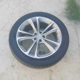 Carolla disga