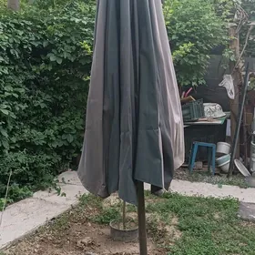 zontik зонтик