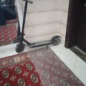 Samokat