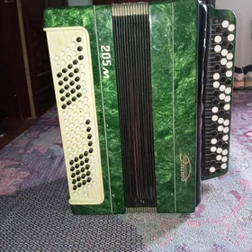 akardion
