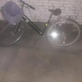 welisopet