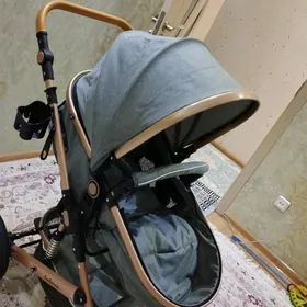 caga kalyaska