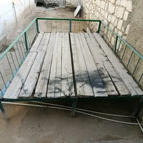 tapçan
