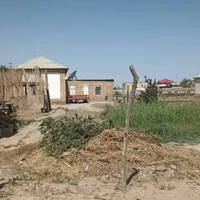Satlyk Gonurdan