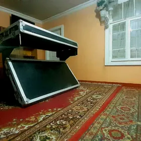 Dj stoyka Case