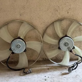 radiator lops