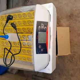 inkubator
