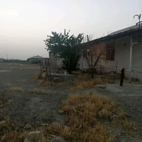 jay baherden