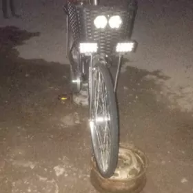 26 tigit