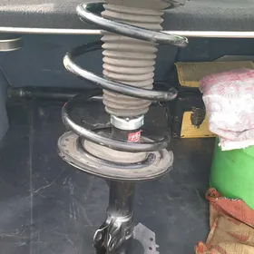 Amanizator
