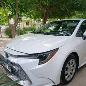Toyota Corolla 2020