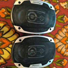 pioneer 500 w