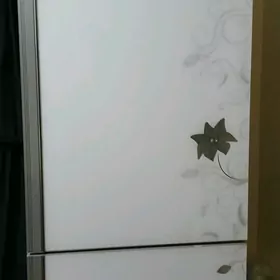 holodinik