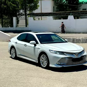 Toyota Camry 2019