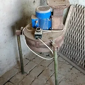 Дине увейэн