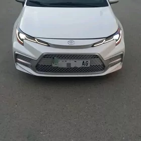 Toyota Corolla 2020