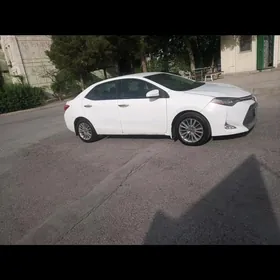 Toyota Corolla 2019
